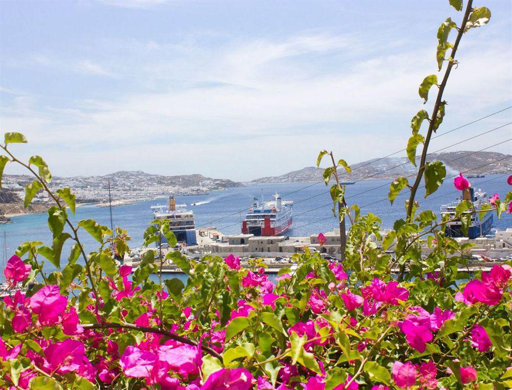Paradision Hotel Mykonos Town Екстер'єр фото